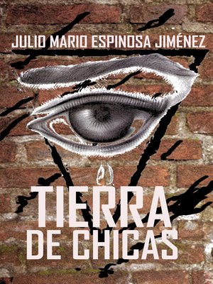 cover image of Tierra De Chicas